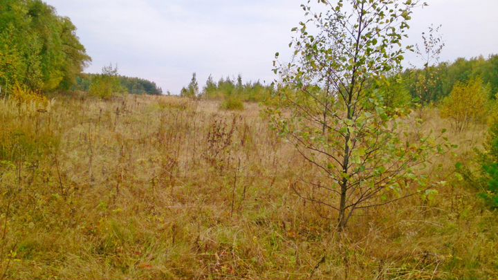 Участок 6 га (СНТ, ДНП)