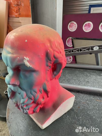 Гипсовый бюст