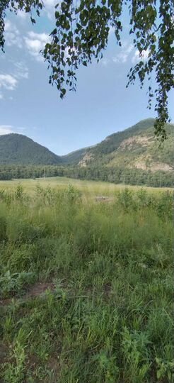 Участок 20 сот. (СНТ, ДНП)