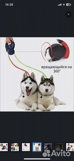 Поводок для двух собак