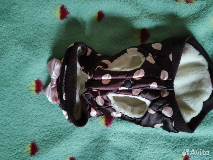 Одежда для собак