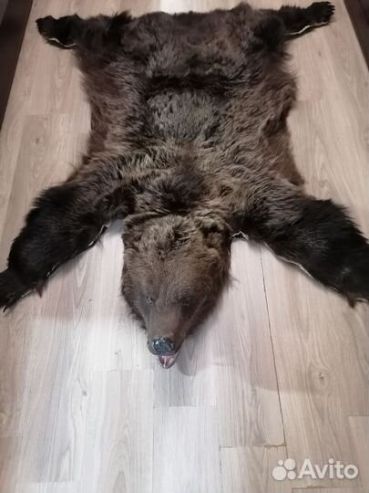 Шкура медведя имитация