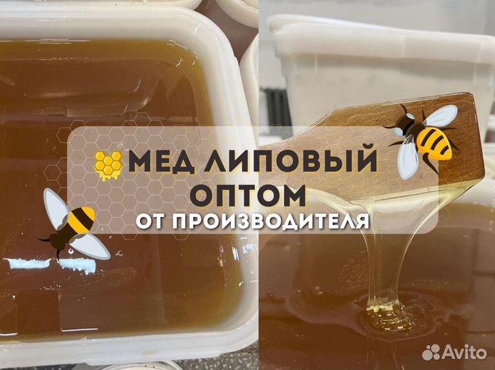 Липовый Мёд оптом