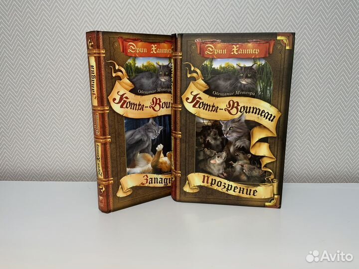 Серия книг «Коты-Воители» Эрин Хантер