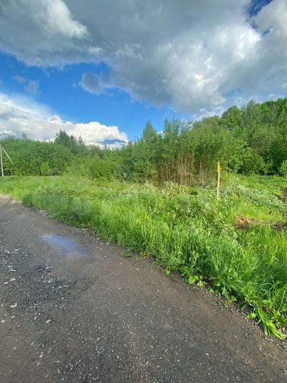 Участок 12 сот. (ИЖС)