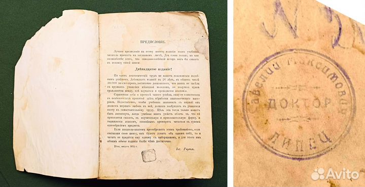 1874. Руководство к анатомии человеческого тела