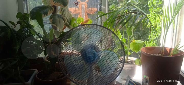 Комната 18,5 м² в 1-к., 4/4 эт.