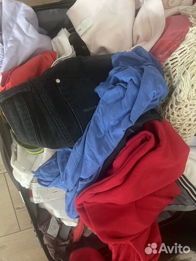 Женская одежда