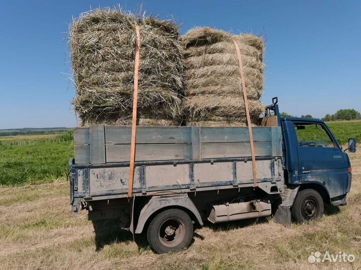 Сено в рулонах