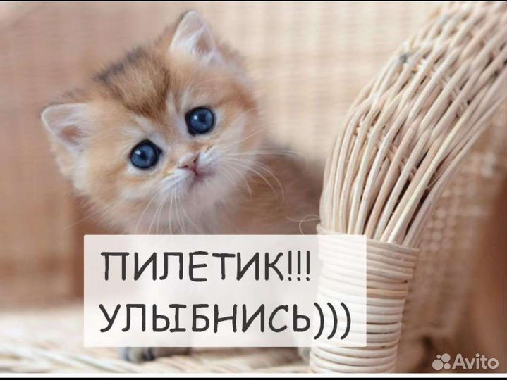 Казан чугунный