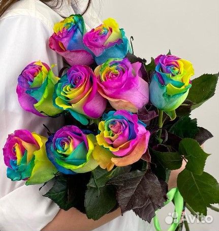 Розы Цветные Радужные Москва