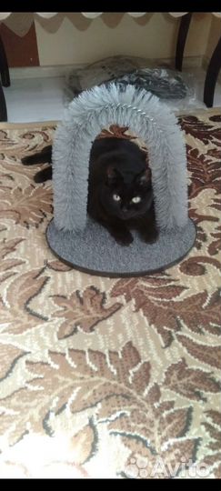 Когтеточка-чесалка для кошек