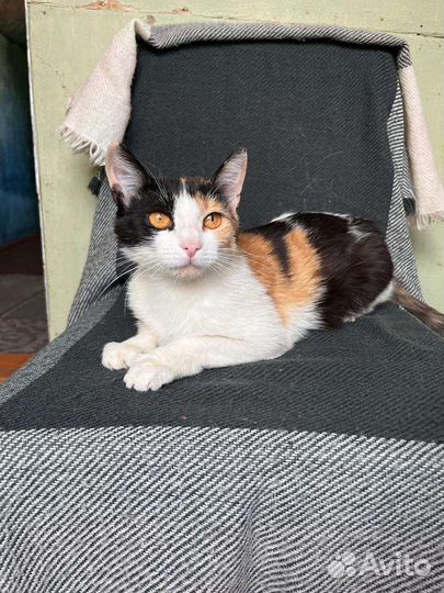 Маргоша на счастье