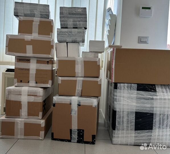 Выкуп и доставка из Германии