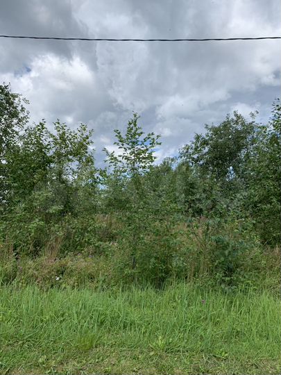 Участок 12 сот. (СНТ, ДНП)