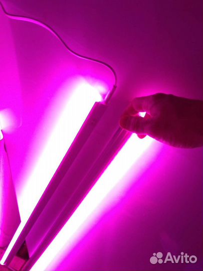 Светильник светодиодный для растений, фитолампа