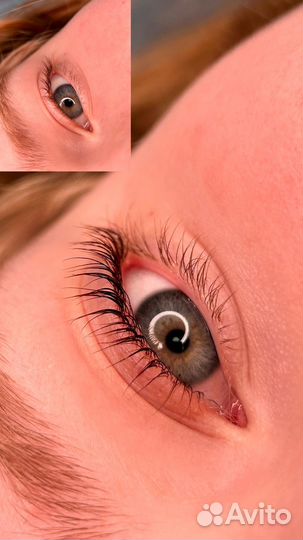 Курсы ламинирования ресниц, курс бровист