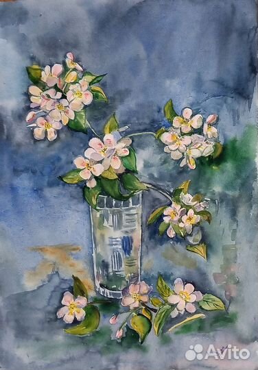 Натюрморт Яблоневый цвет. Картина акварелью