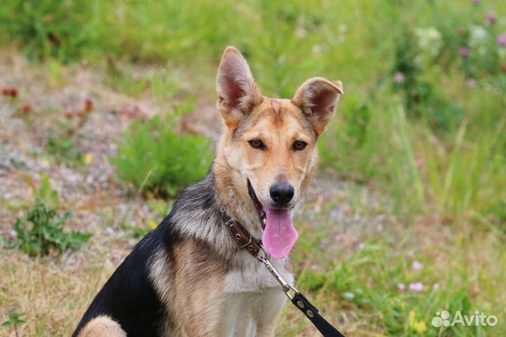 Ладный подросток