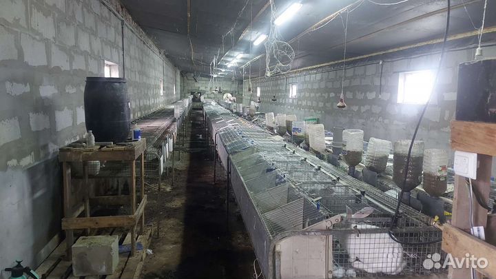 Кроликоферма