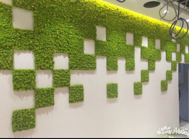 Мох стабилизированный