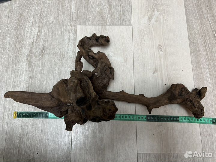 Для аквариума