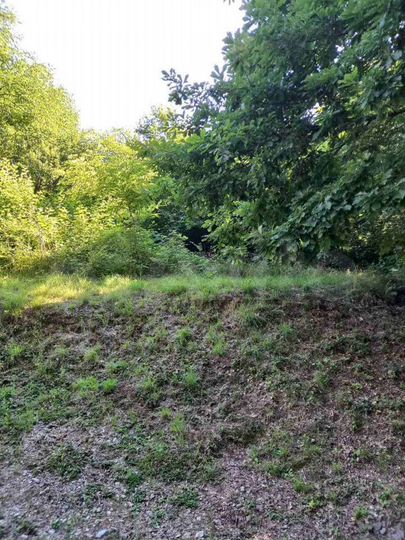 Участок 12 сот. (ИЖС)