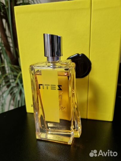 Morph Zeta Eau de Parfum