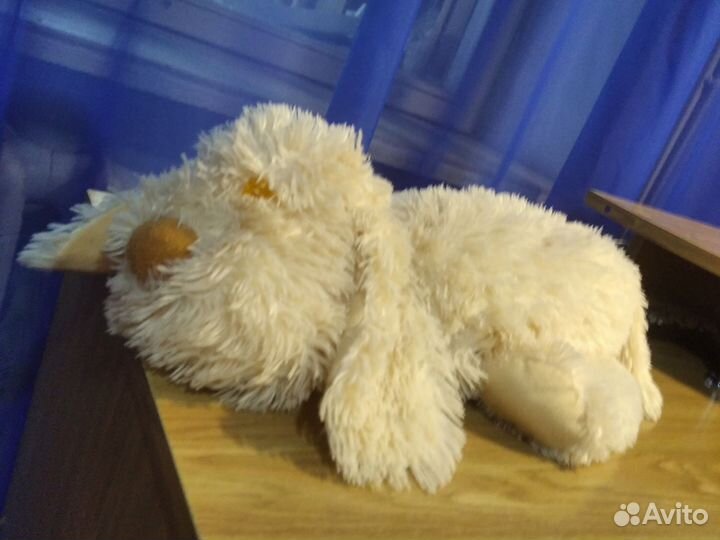 Собака, Заяц