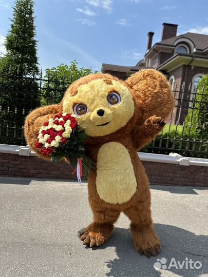 Ростовая кукла чебурашка попузьяна