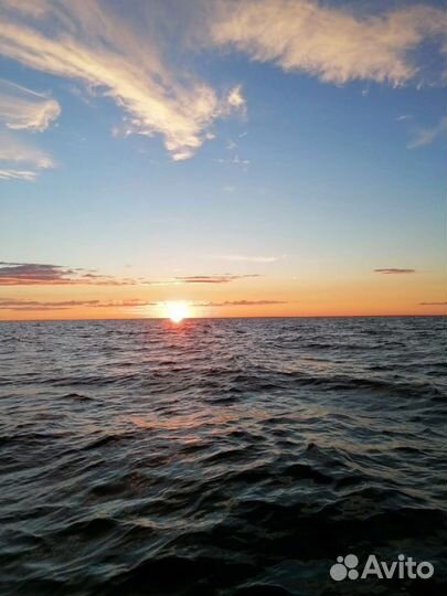 Рыбалка на Белом море