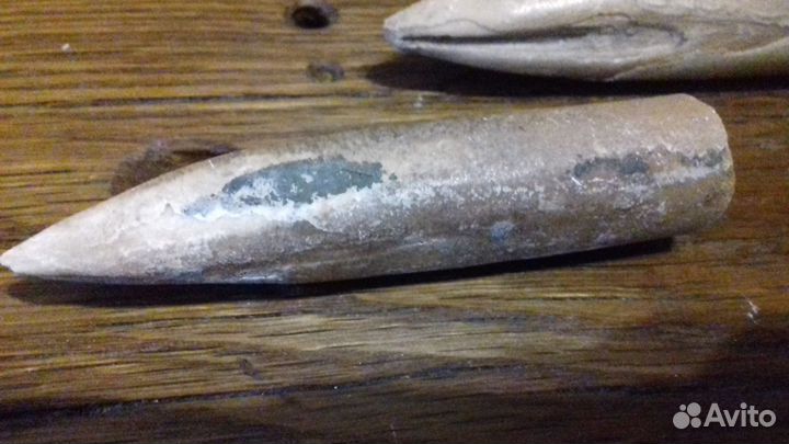 Белемниты(чертов палец.зуб дракона)