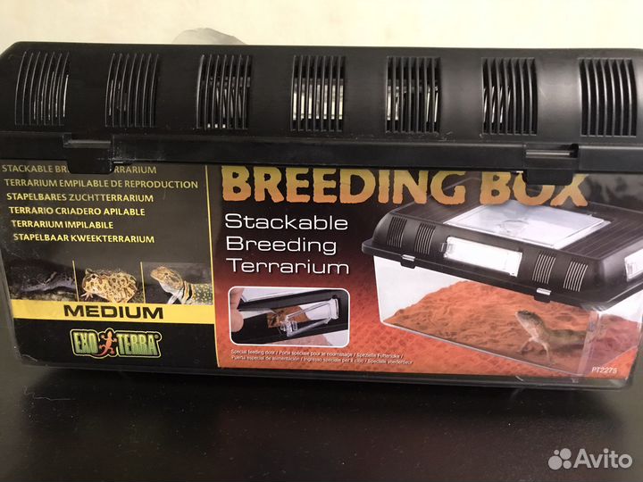 Все для рептилий