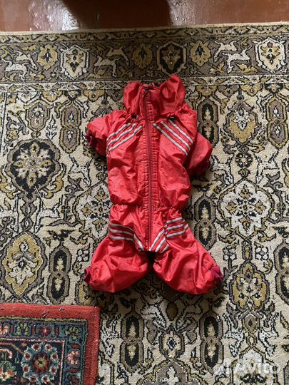 Одежда для собак