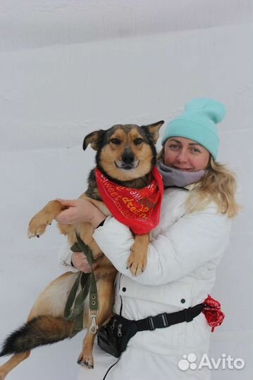 Ася грустит и переживает в приюте