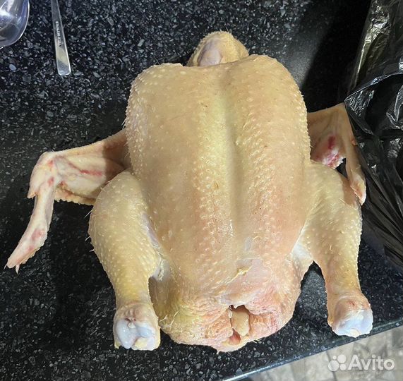Бройлер на заказ / курица домашняя