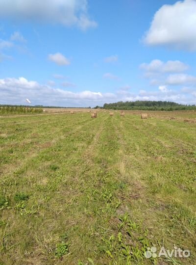 Сено в рулонах