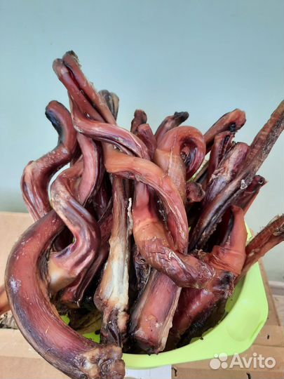 Полезные сушёные лакомства для животных