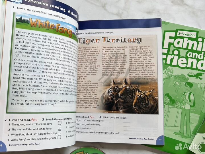 Family and friends 3+ grammar friends 3 комплект