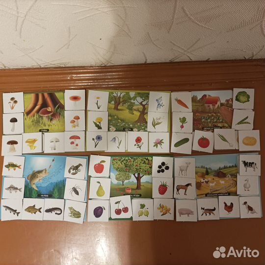 Лото для малышей