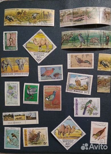 Почтовые марки- Флора и Фауна