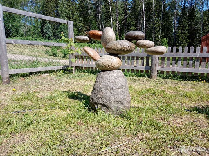 Каменное дерево