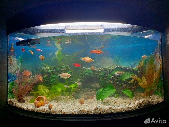 Грот для аквариума корабль