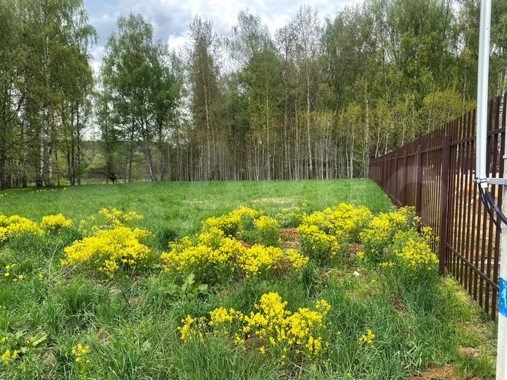 Участок 7 сот. (ИЖС)