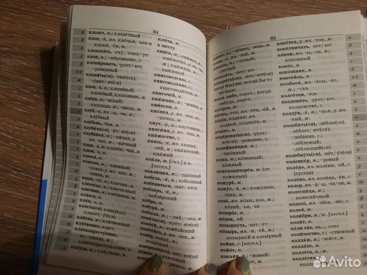 Школьный орфографический словарь