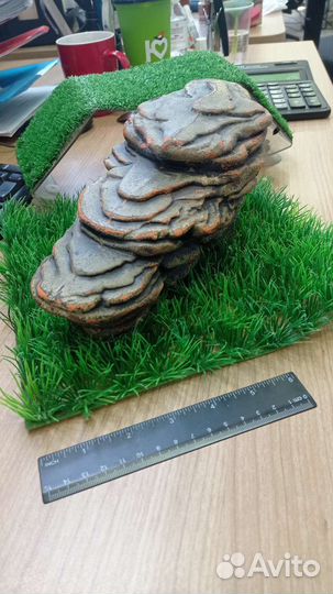 Аксессуары в аквариум