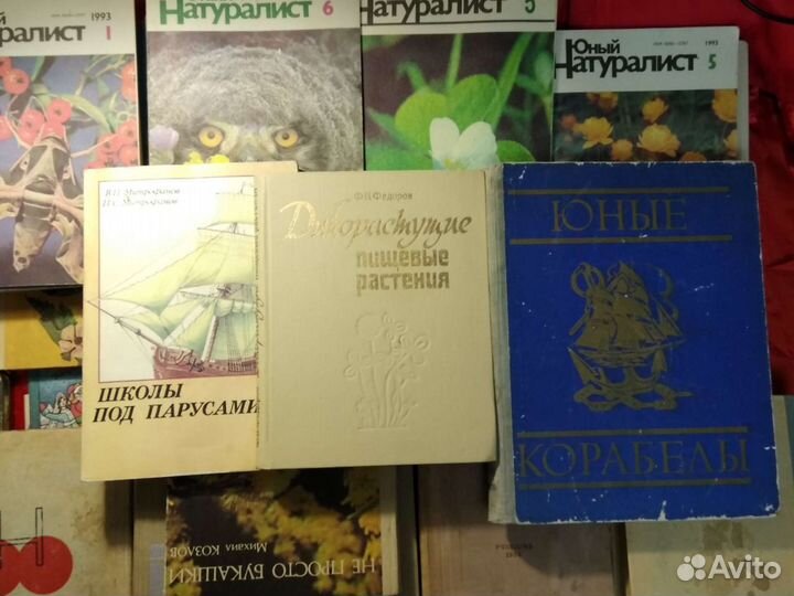 Дикорастущие пищевые растения книга СССР