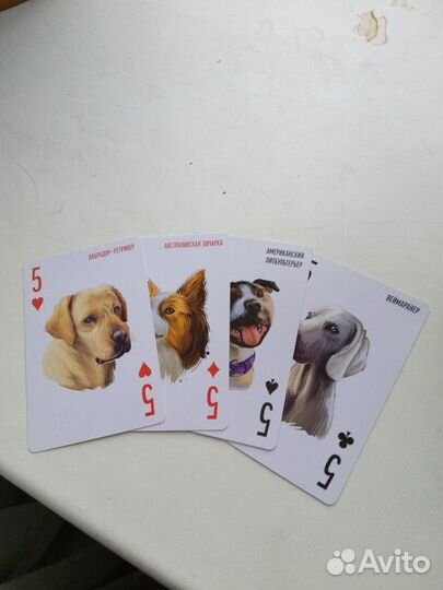 Игральные карты