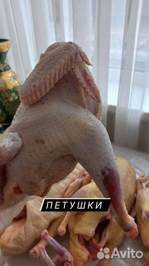 Тушки птицы