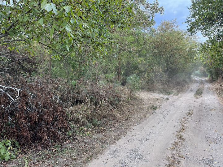 Участок 12 сот. (СНТ, ДНП)